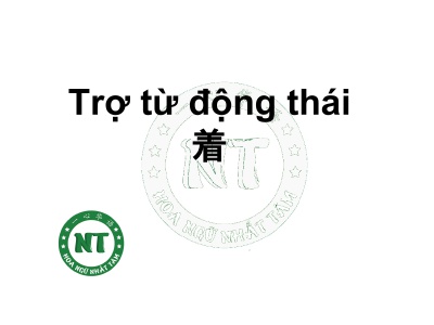 Trợ từ động thái 着